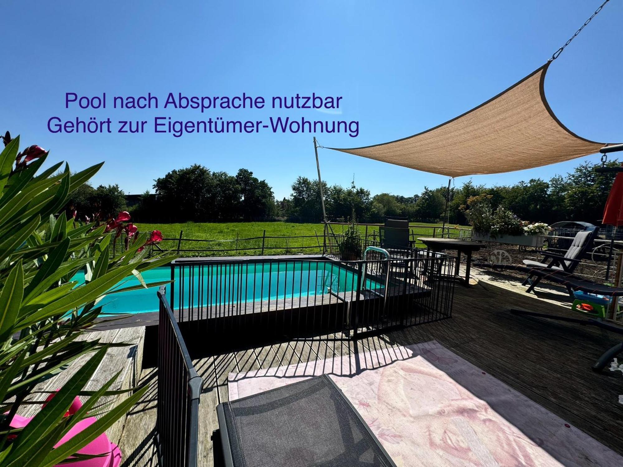 Hof Vierzehnender Im Hohen Venn - 70Qm Maisonette - 2 Schlafzimmer - Wohnkueche - Balkon Mit Grill - Monschau - Eifel - Hunde Willkommen - Islandpferde Exterior foto